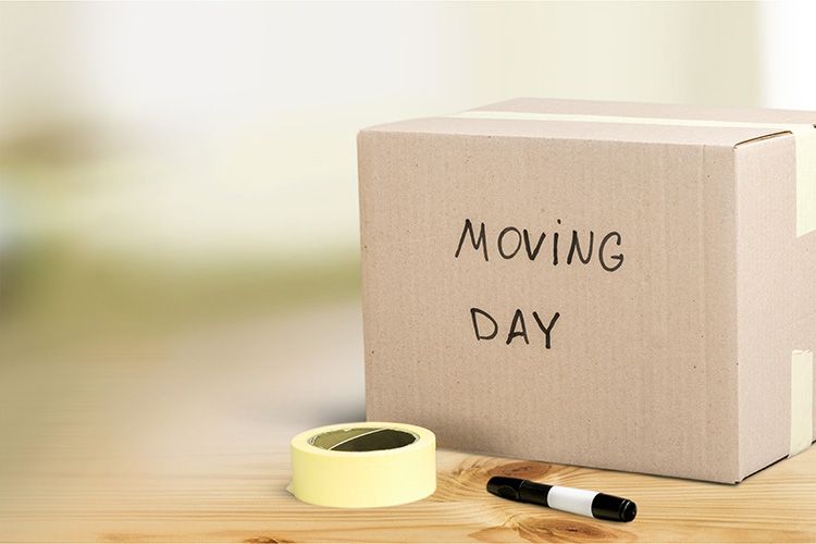 Moving Tip Number Six