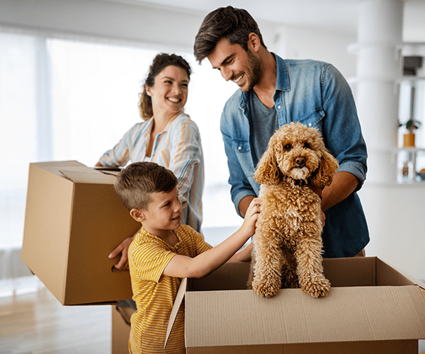 Pets And Moving