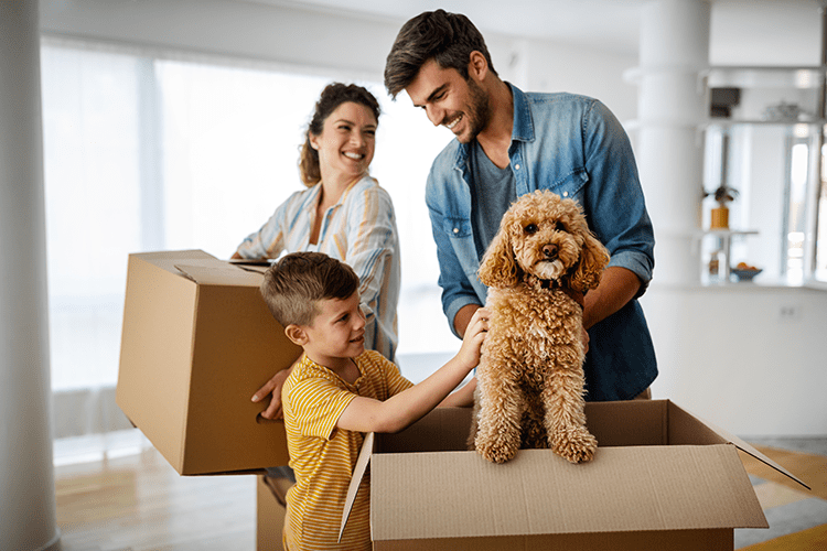 Pets And Moving